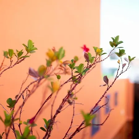 Casa Tess Burriana Beach Casa de Férias Nerja